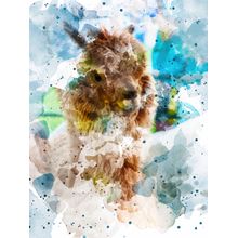Alpaca 0475 Wall Mural