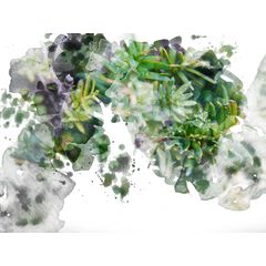 Floral 3634 Wall Mural