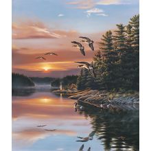 Into The Sun Wall Mural