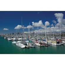 Westhaven Marina, New Zealand Wall Mural