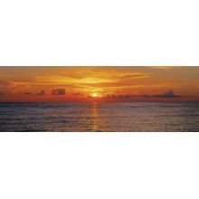 Sunset II Wall Mural