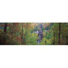 Raven Cliff Falls Wall Mural