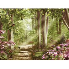 Forest Of Life Wall Mural