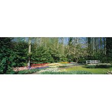 Garden With Bridge Wall Mural
