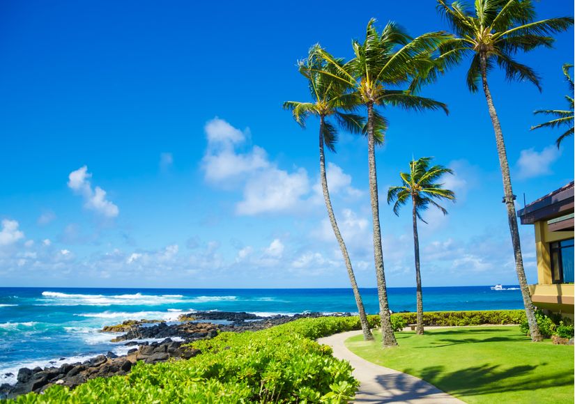 Coconut-palm-trees-swaying-in-the-wind-on-a-beach-in-Hawaii