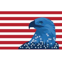 Patriotic Eagle Wall Mural