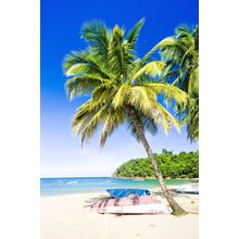 Castara Bay Tobago Wall Mural