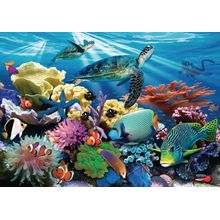 Reef Life Wall Mural
