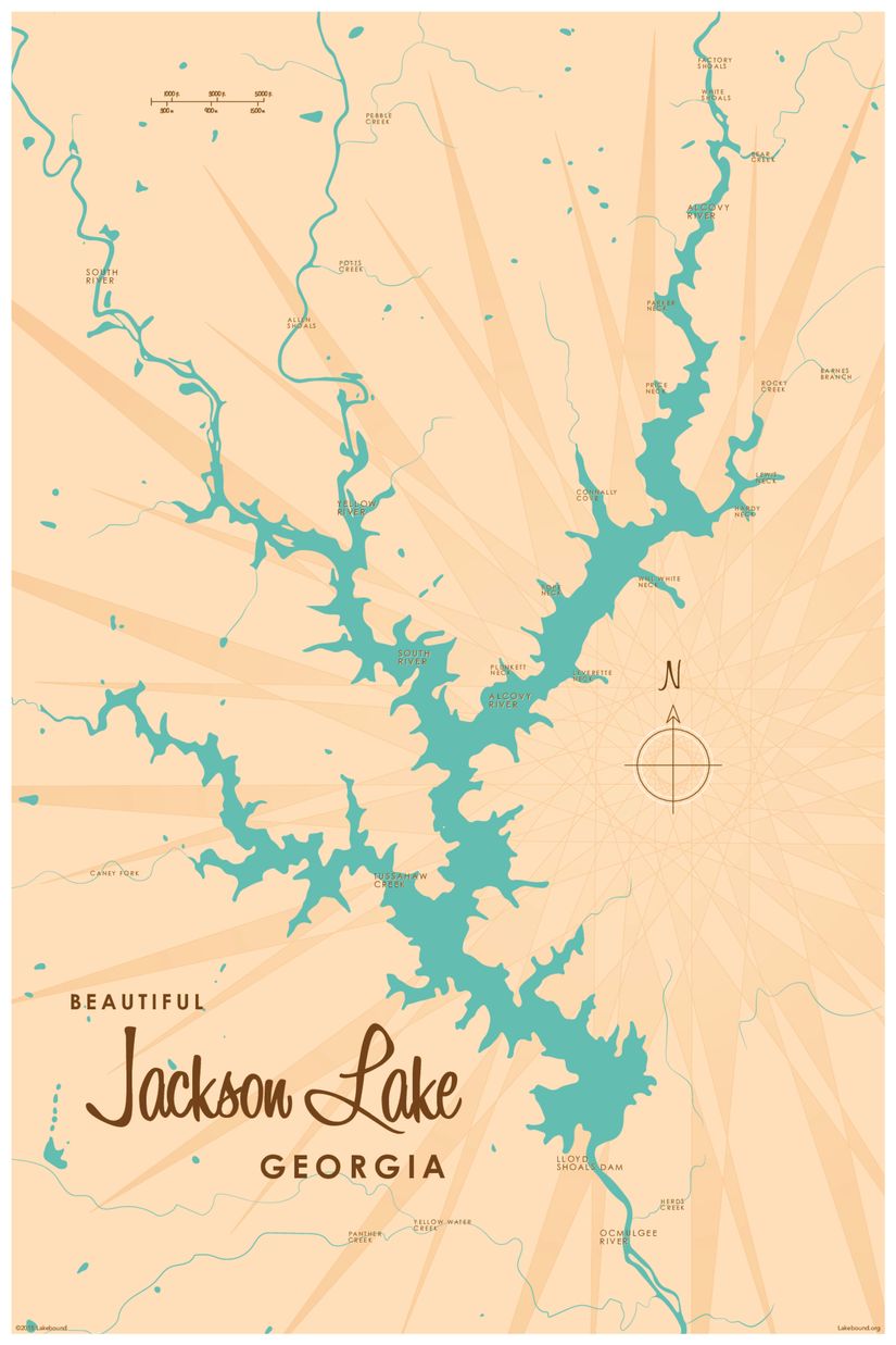 Jackson Lake, GA Lake Map Wall Mural - Murals Your Way