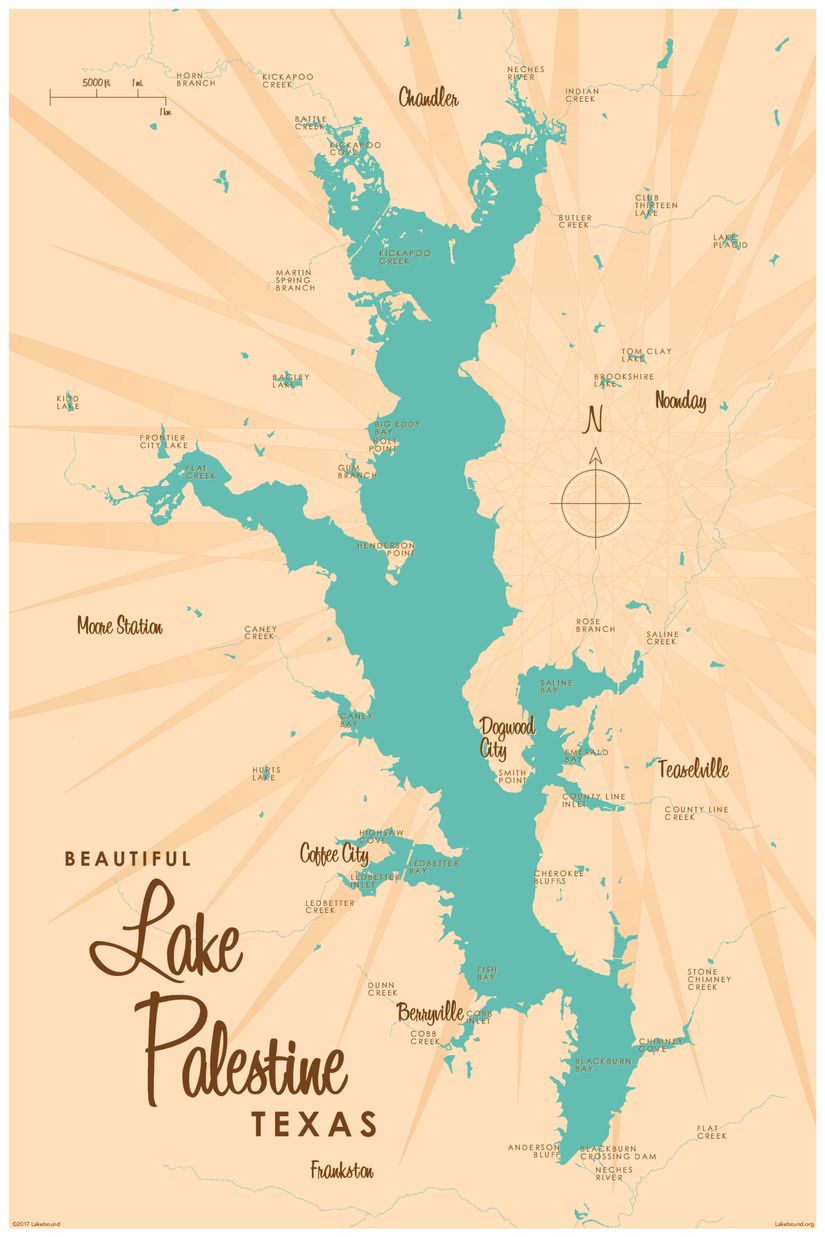 Lake Palestine, TX Lake Map Wall Mural - Murals Your Way