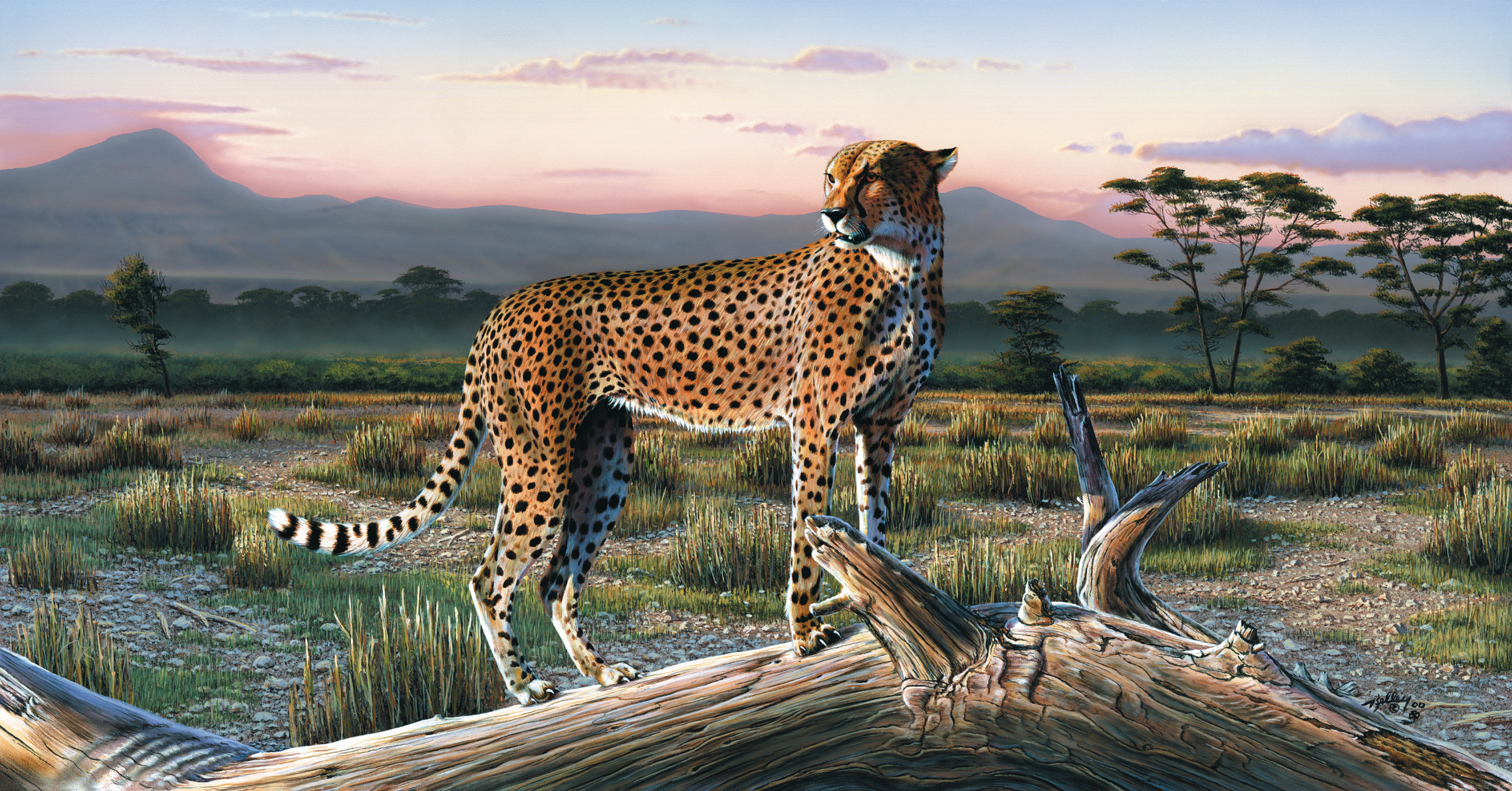 Off White Leopard Print Wallpaper Mural