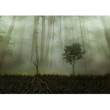 Strong Roots Wall Mural