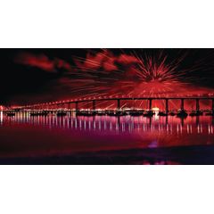 Celebrating San Diego Wall Mural