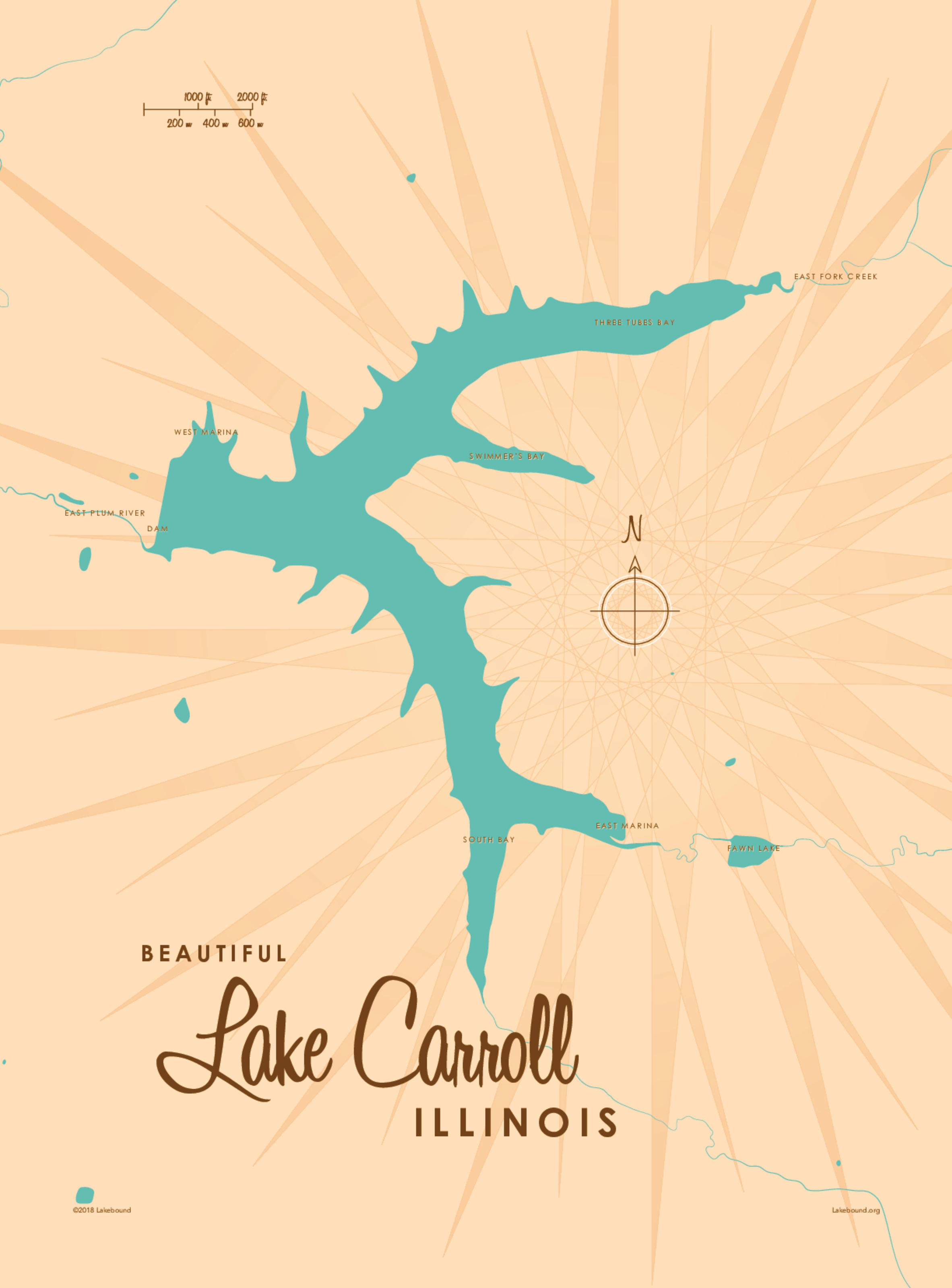 Lake Carroll, IL Lake Map Wall Mural - Murals Your Way