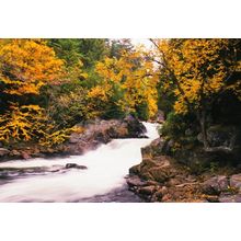 Rushing Water Wall Mural