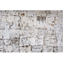 Pieces Of Birch Bark Wallpaper Mural