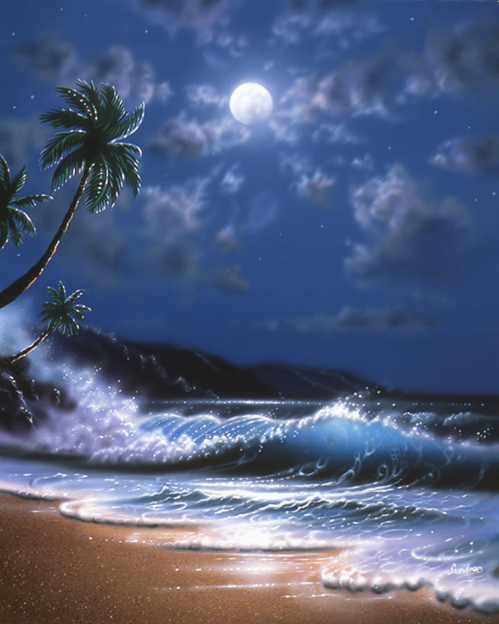 Aloha Moon Mural - Steve Sundram - Murals Your Way