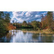 French Broad River In North Carolina Wall Mural