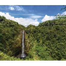 Akaka Falls In Hawaii Wall Mural
