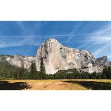 Yosemite El Capitan Wall Mural