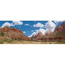 Zion Human History Museum Wall Mural