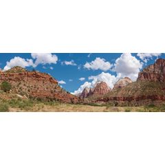 Zion Human History Museum Wall Mural