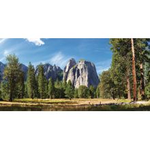 Yosemite Valley Cathedral Rocks Wall Mural