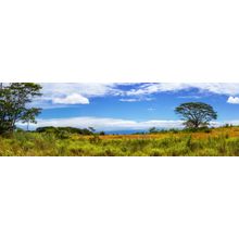 Hawaii Big Island Bliss Wall Mural