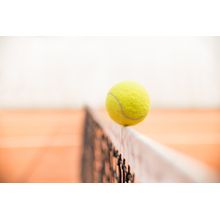 Balanced Tennis Ball Wallpaper Mural