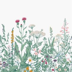 Engraved-Wildflower-Border-Wall-Mural