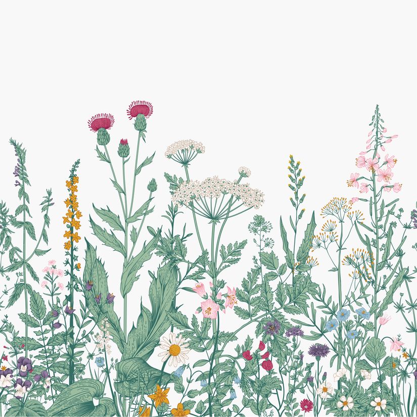 Engraved-Wildflower-Border-Wall-Mural