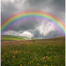 Rainbow Valley Wall Mural