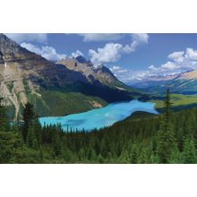 Aerial View Of Banff National Park Wall Mural
