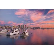 Sailboats In San Diego Harbor Wall Mural