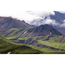 Denali National Park, Alaska Wall Mural