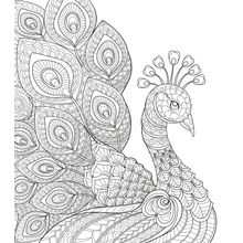 Lovely Peacock Illustration Wall Mural