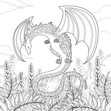 Fantasy Dragon Illustration Wall Mural