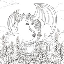 Fantasy Dragon Illustration Wallpaper Mural