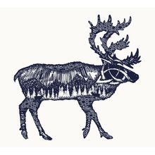 Reindeer Tourism Woodblock Wall Mural