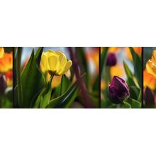 Blooming Colors Wall Mural