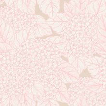 Cottagecore Pink and Beige Hydrangea Wallpaper