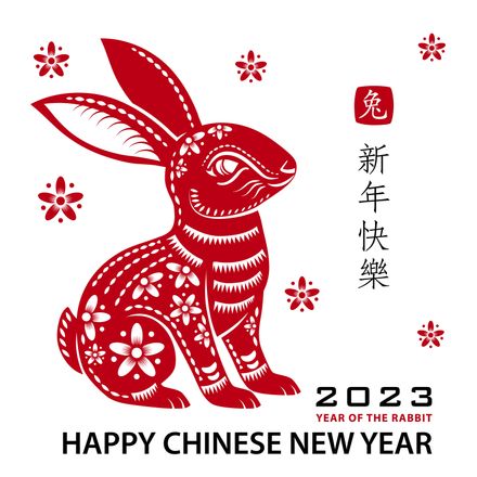 2023 Chinese New Year Rabbit With Pink Background Wall Mural - Murals Your  Way