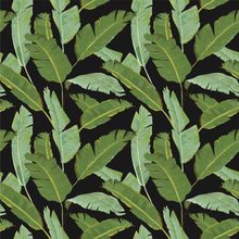 Golden Gal Banana Leaf Pattern - Black Wallpaper