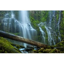 Proxy Falls Wall Mural