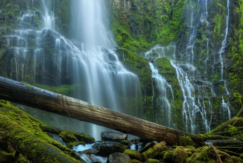 Proxy Falls Wall Mural - Murals Your Way