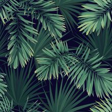 Dark Tropical Jungle Leaves Pattern Wallpaper
