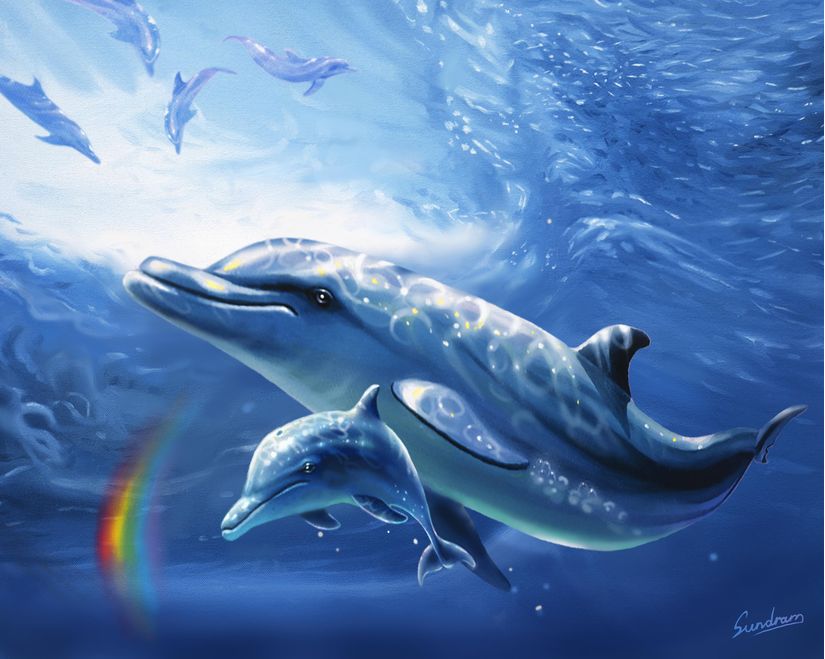 Dolphin-Love-Wall-Mural
