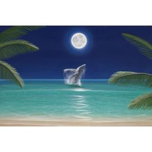 Humpback Happiness Wall Mural