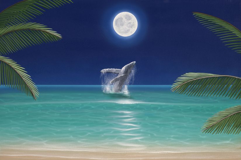 View-from-a-beach-of-humpback-whale-jumping-out-of-the-water-under-the-moonlight