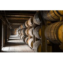 Whiskey Barrels In Distillery Cellar Wall Mural